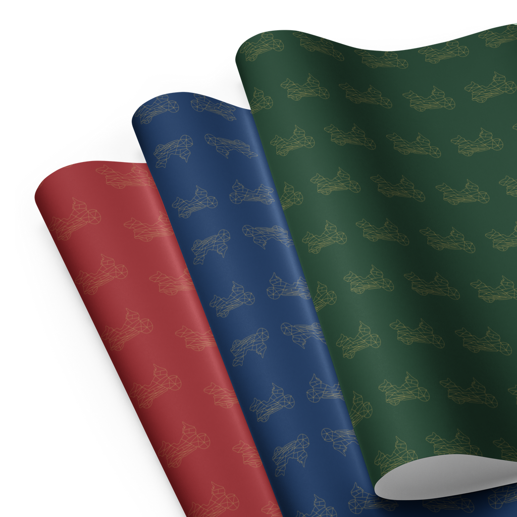 Colorful motorcycle gift wrapping paper in red, blue, and green with a stylish bike design